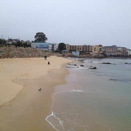 Photo of San Carlos Beach Park in Monterey