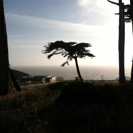 Photo of 195 Seal Rock Dr, San Francisco, CA 94121 apartment rental in Outer Richmond, San Francisco