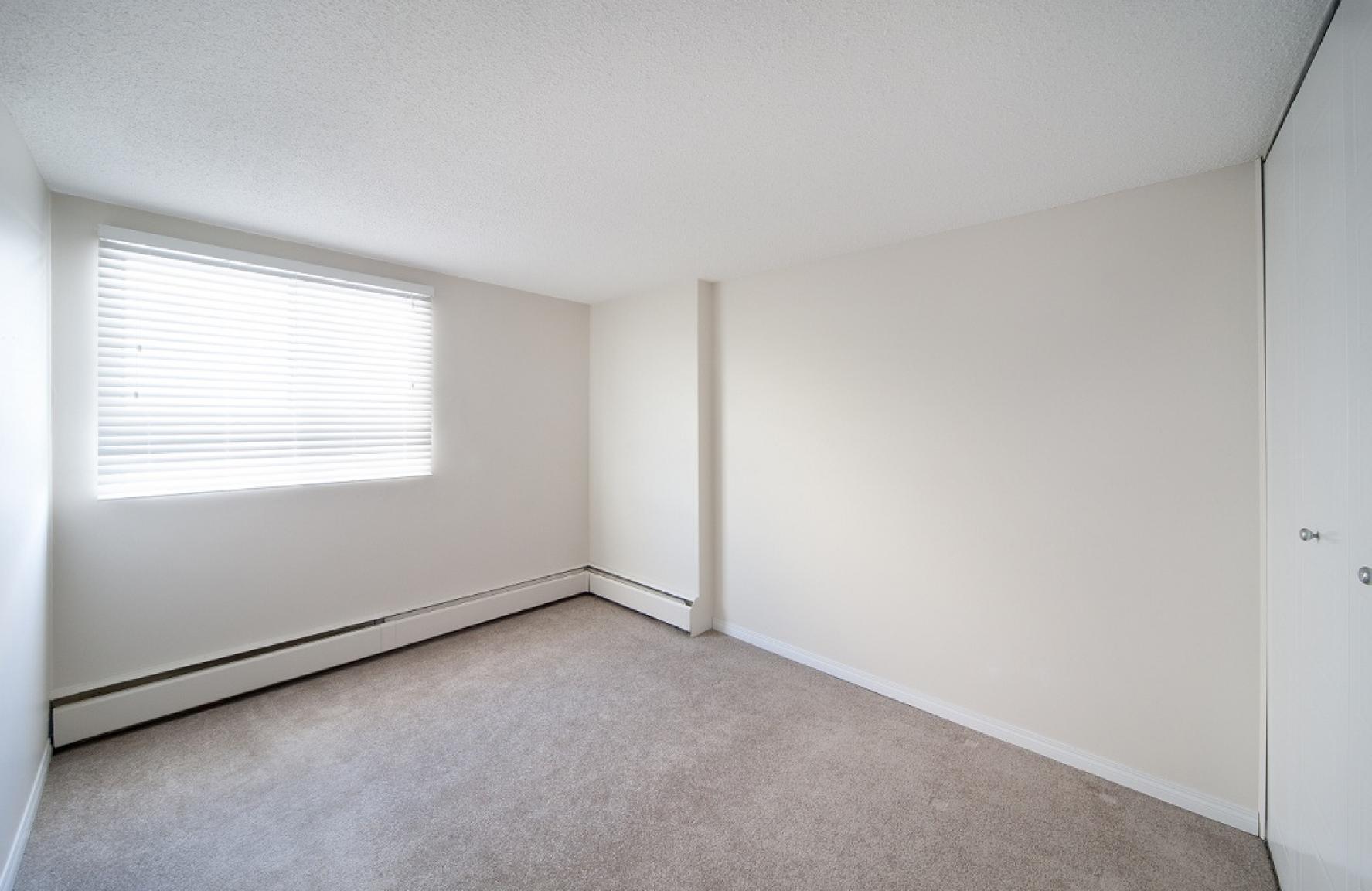 Cat Friendly Apartments For Rent Near Me Cat Friendly Apartments For Rent Near Me