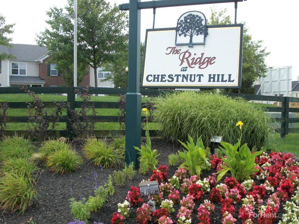 The Ridge At Chestnut Hill Apartments, Columbus OH Walk Score