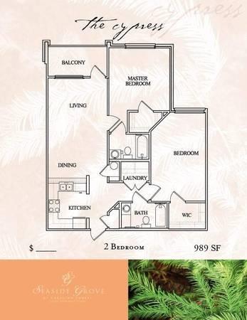 Seaside Grove At Carolina Forest Apartments Myrtle Beach Sc Seaside Grove At Carolina Forest Apartments Myrtle Beach Sc