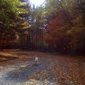 Photo of Brookfield, WI