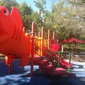Photo of Discovery Park