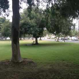 Photo of Memorial Park