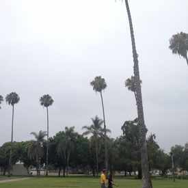 Photo of Memorial Park