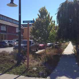 Photo of Rain Gardens Purify Water Before Entering The Salish Sea And Admiralty Inlet