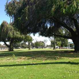 Photo of Mission Bay Park