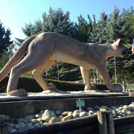 Photo of Cougar Mountain Zoological Park