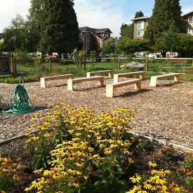 Photo of West Seattle Bee Garden