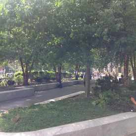Photo of Green Space