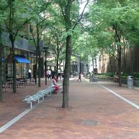 Photo of A Pocket Park