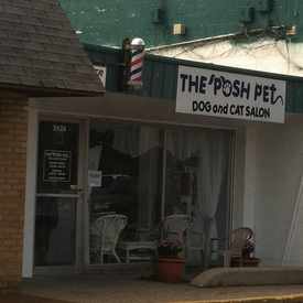 Photo of Posh Pets