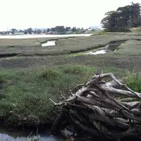 Photo of Sweet Springs Natural Reserve