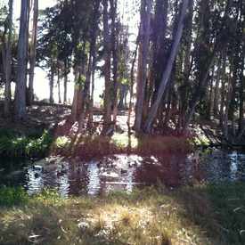 Photo of Sweet Springs Natural Reserve