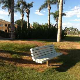 Photo of Bench