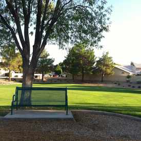 Photo of Bench