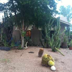 Photo of Cactus Garden