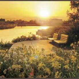 Photo of Quail Lake