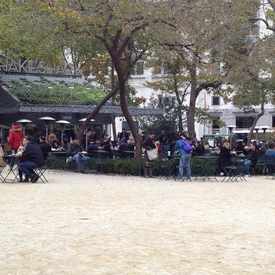 Photo of Shake Shack