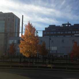 Photo of College of Communication