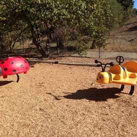 Photo of Grape Arbor Park