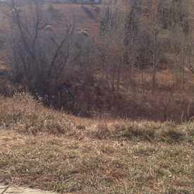 Photo of Dad Clark Trail
