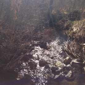 Photo of Dad Clark Trail