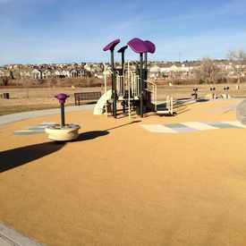 Photo of Larkspur Park