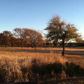 Photo of West Lake Park
