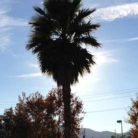 Photo of Palmdale Mall