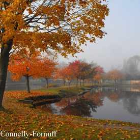 Photo of Argyle Park, Babylon, NY
