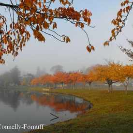 Photo of Argyle Park, Babylon, NY