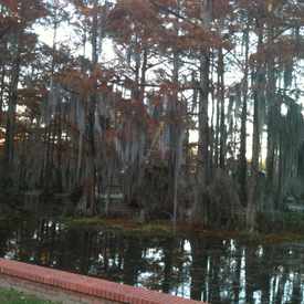 Photo of University of Louisiana at Lafayette