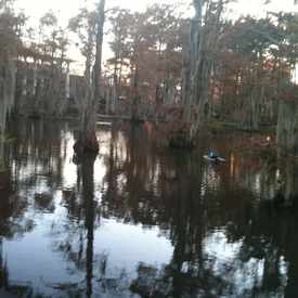 Photo of University of Louisiana at Lafayette