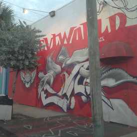 Photo of Wynwood Arts District