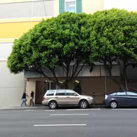 Photo of The Terraces Apartments
