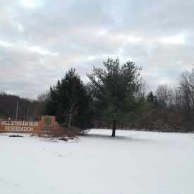Photo of Mill Stream Run Reservation