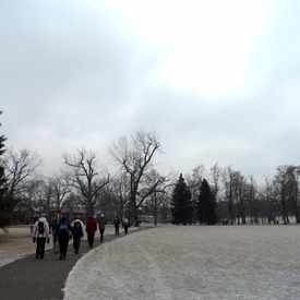 Photo of Washington Park