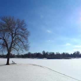 Photo of City Park