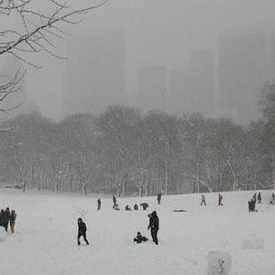 Photo of Sheep Meadow