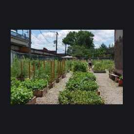 Photo of Montrose Green Community Garden