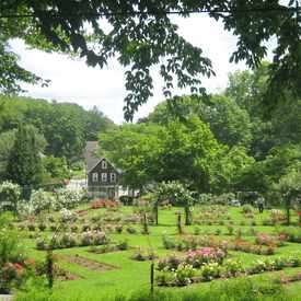 Photo of Memorial Rose Gardens