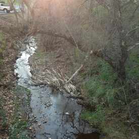 Photo of George Cardinet Trail