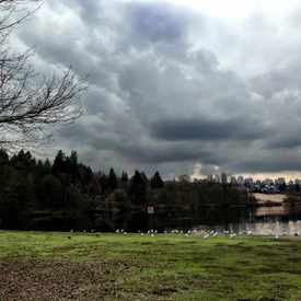 Photo of Deer Lake