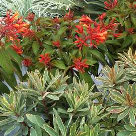 Photo of North Park Nursery By Mooch