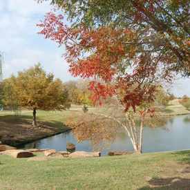 Photo of Frisco Central Park