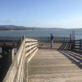 Photo of Siletz Bay/Taft Dock