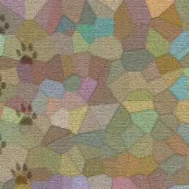 Photo of Carpet Cleaning Sunnyvale