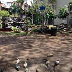 Photo of Honolulu Theater Park