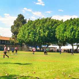 Photo of Toberman Playground